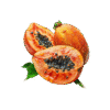 Carica Papaya