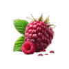 Fresh Raspberry